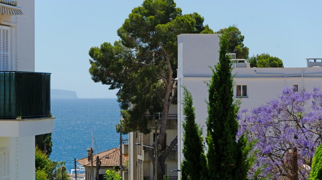 5251- Apartment in San Augustin 11