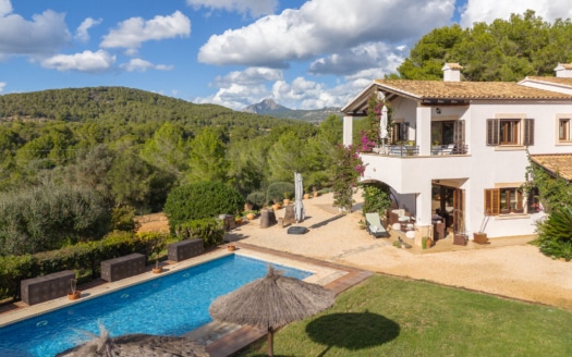 5471 - Finca in Calvia3