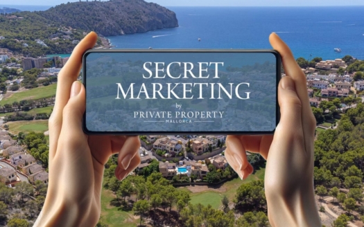 WhatsApp Bild 2025-08-30 um 08.05.50_f01bbff0