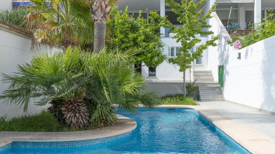 5444 - Stadthaus in El Terreno - Palma 3