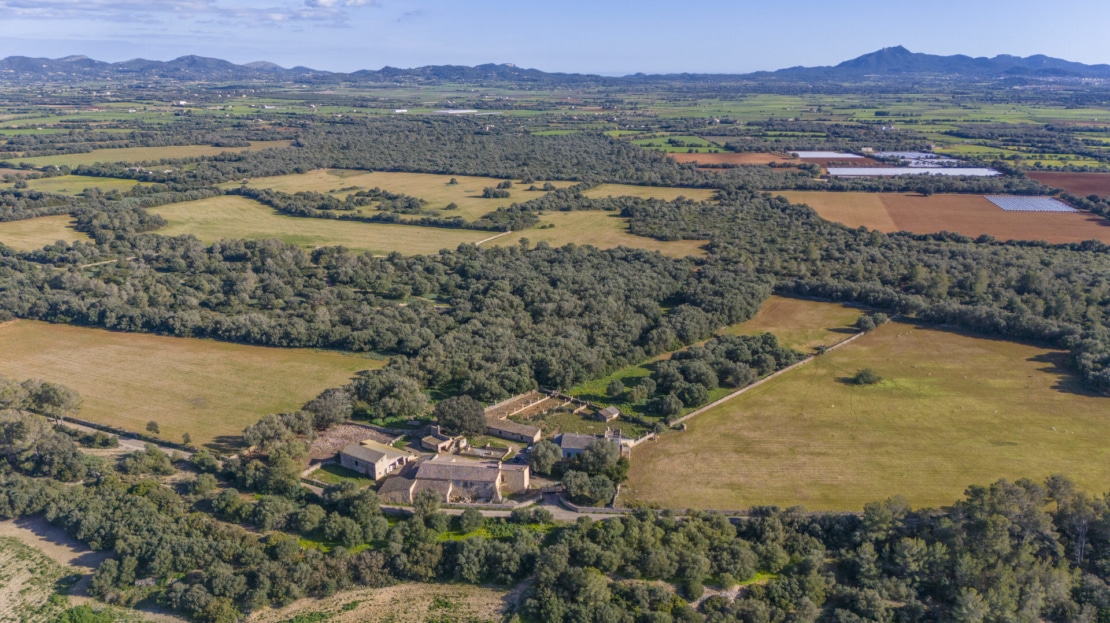 5209- Finca in Vilafranca De Bonany15