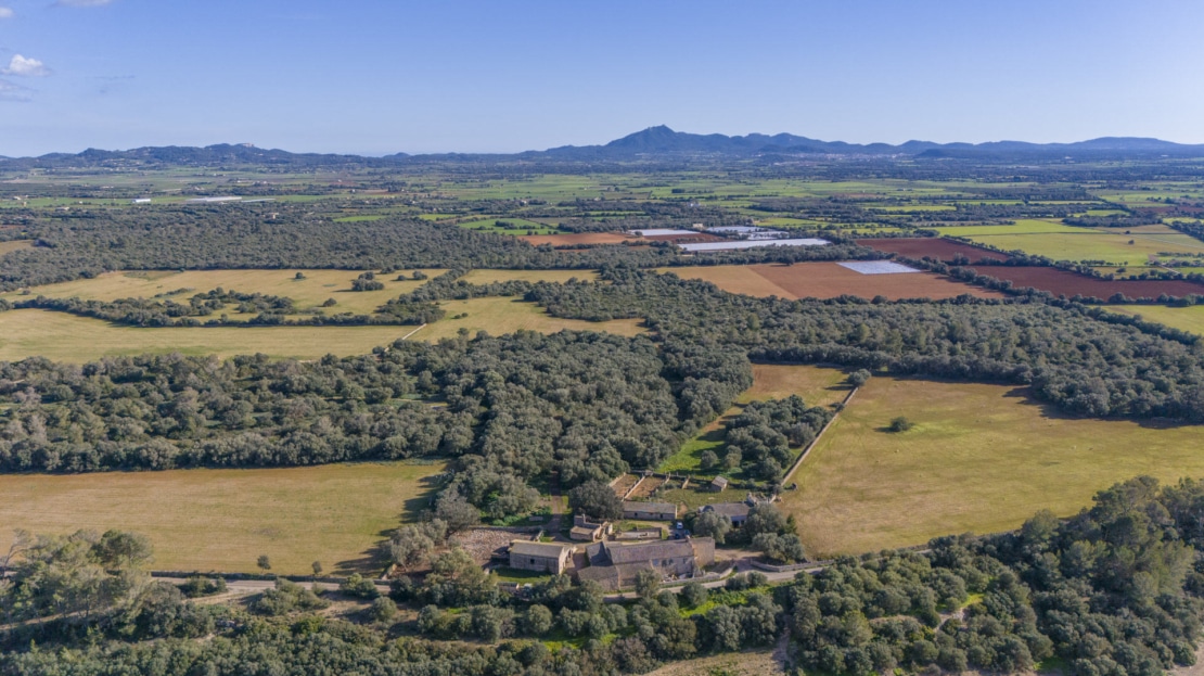 5209- Finca in Vilafranca De Bonany17