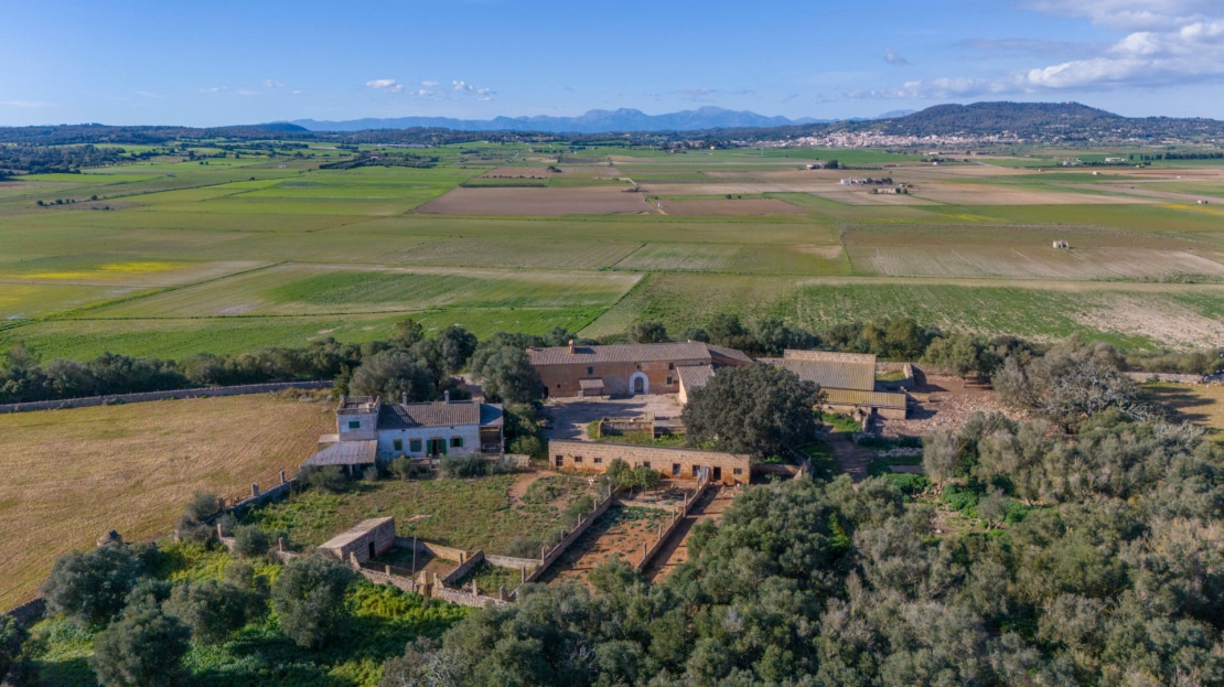 5209- Finca in Vilafranca De Bonany39