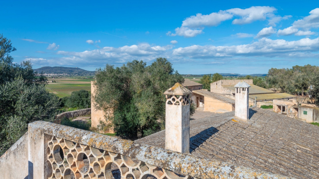 5209- Finca in Vilafranca De Bonany6