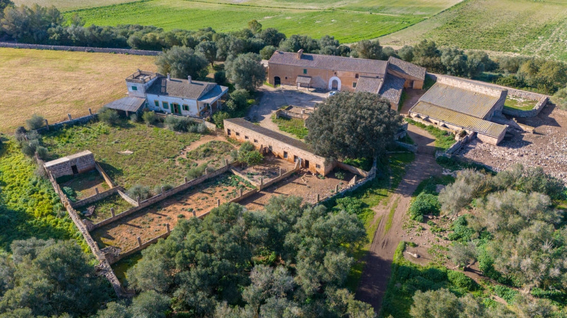 5209- Finca in Vilafranca De Bonany13