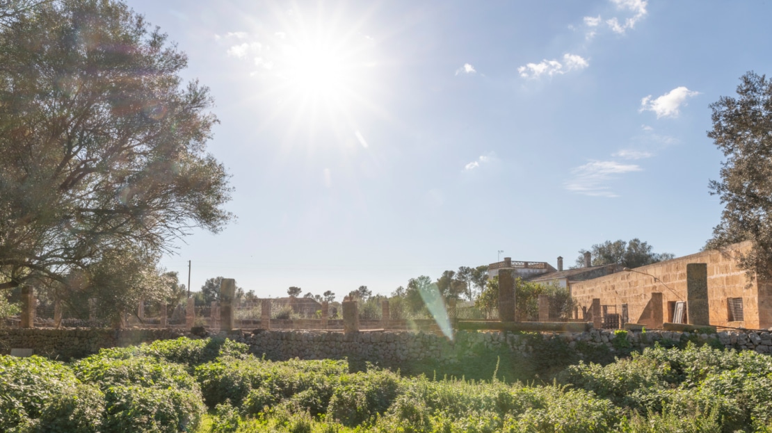 5209- Finca in Vilafranca De Bonany32