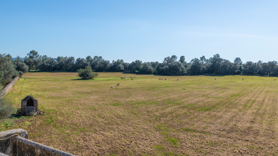 5209- Finca in Vilafranca De Bonany7