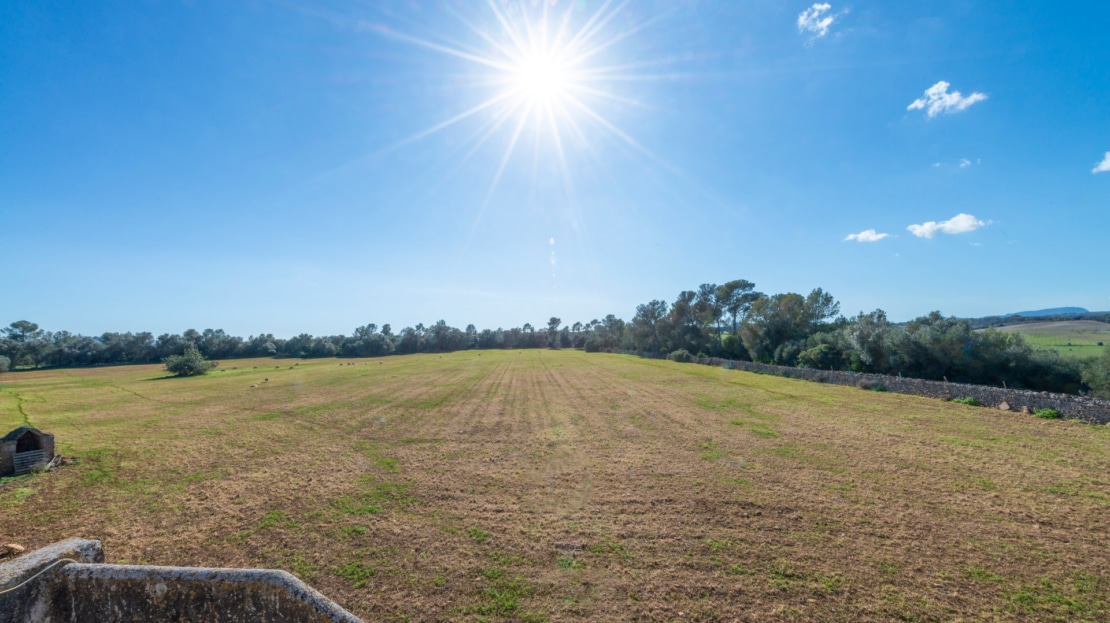 5209- Finca in Vilafranca De Bonany37