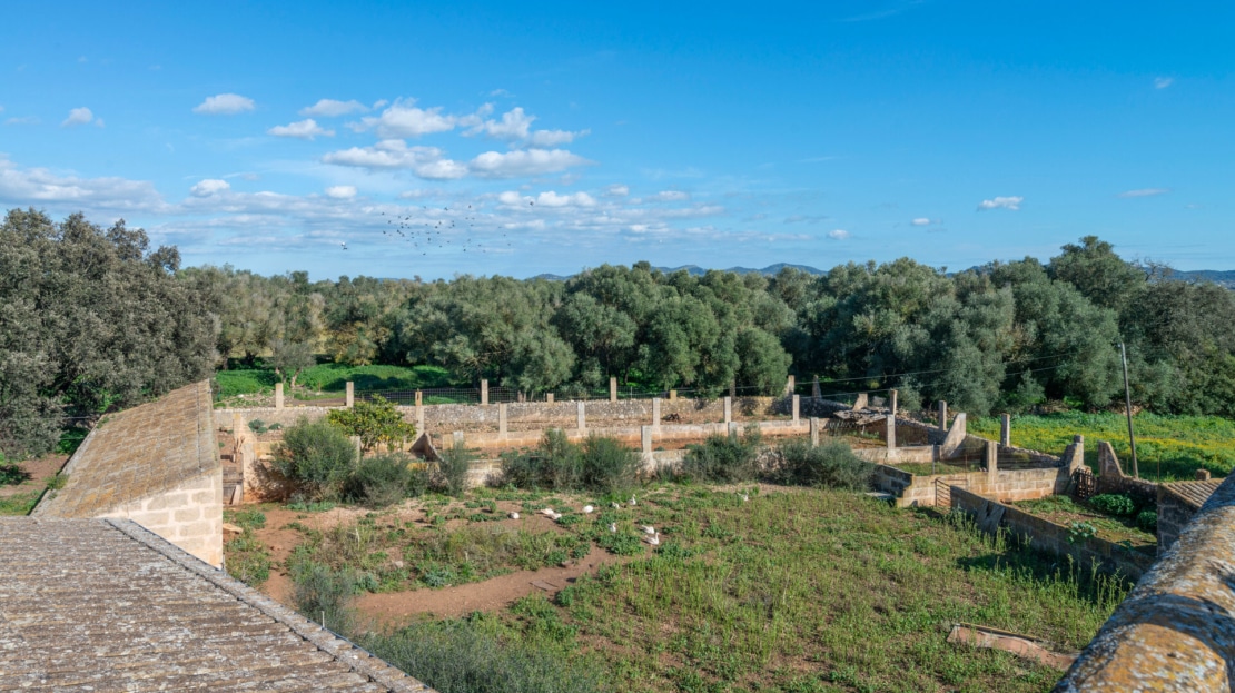 5209- Finca in Vilafranca De Bonany40