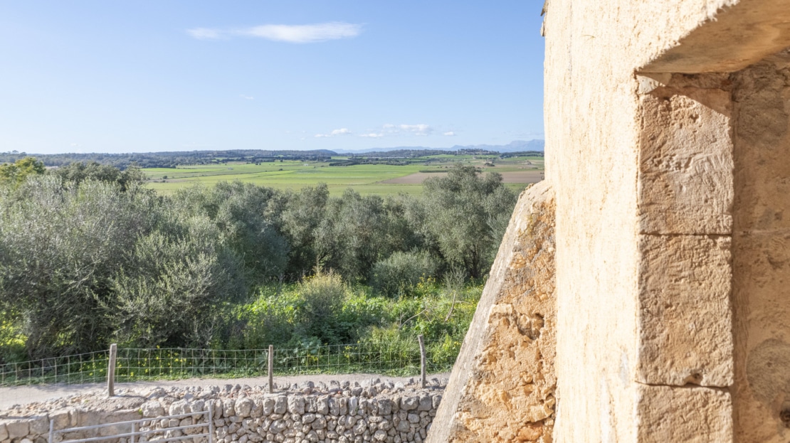 5209- Finca in Vilafranca De Bonany12