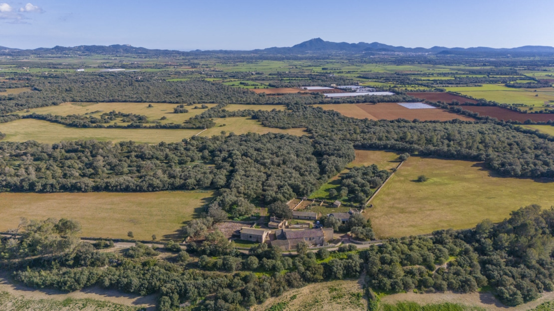 5209- Finca in Vilafranca De Bonany18