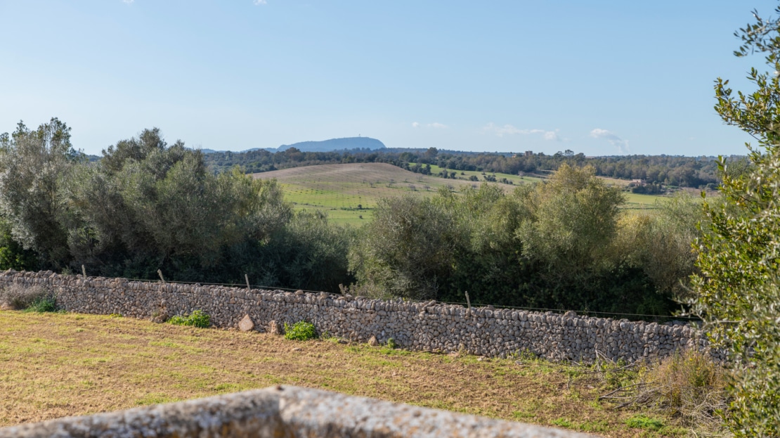 5209- Finca in Vilafranca De Bonany25
