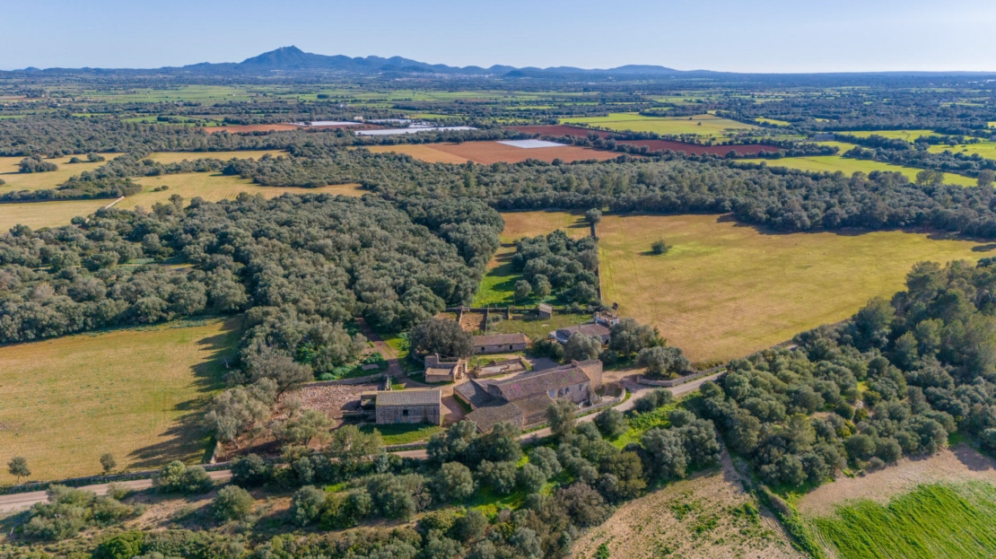 5209- Finca in Vilafranca De Bonany3