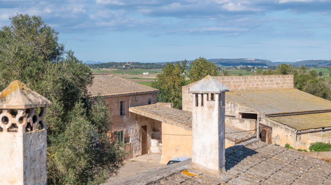 5209- Finca in Vilafranca De Bonany26