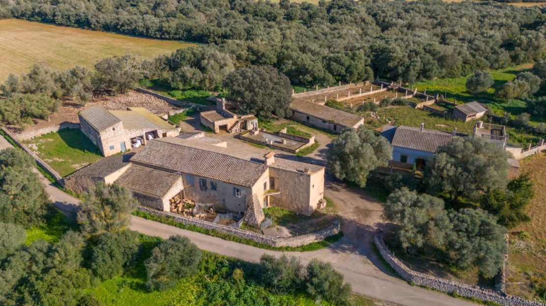 5209- Finca in Vilafranca De Bonany2