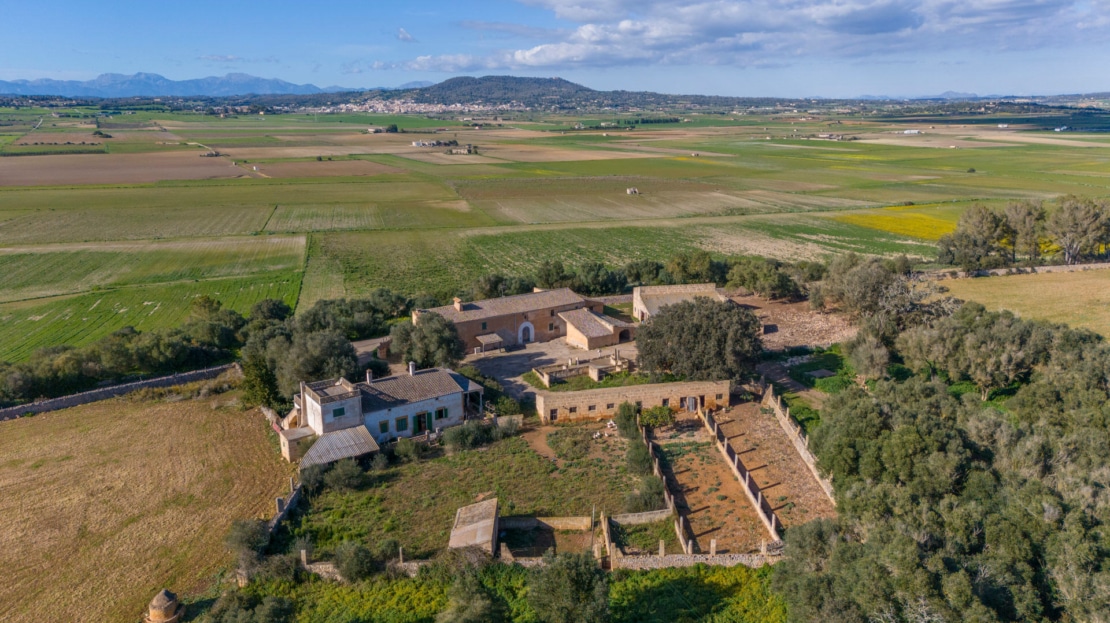 5209- Finca in Vilafranca De Bonany1