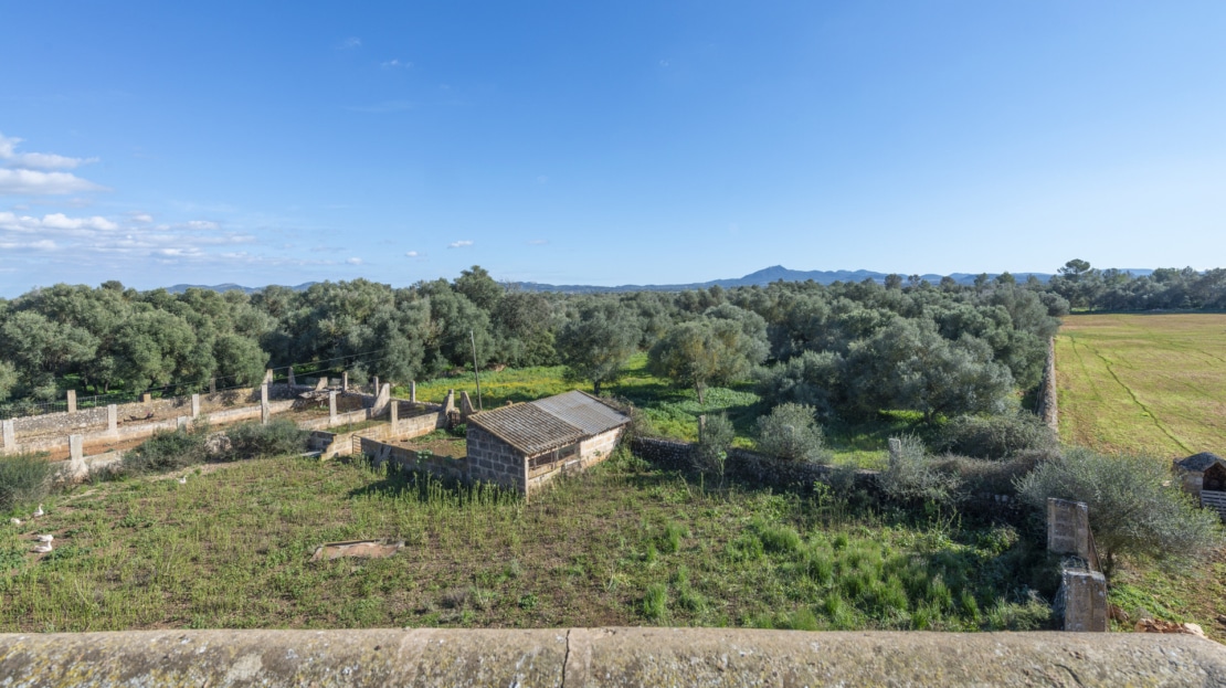 5209- Finca in Vilafranca De Bonany38