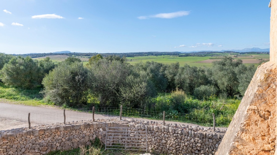 5209- Finca in Vilafranca De Bonany29