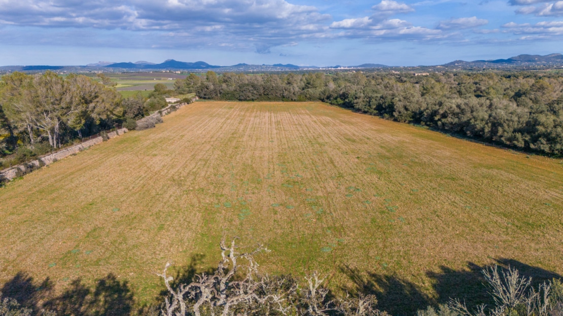 5209- Finca in Vilafranca De Bonany23