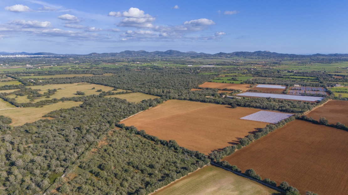 5209- Finca in Vilafranca De Bonany20