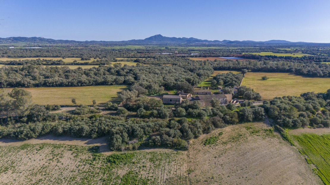 5209- Finca in Vilafranca De Bonany21