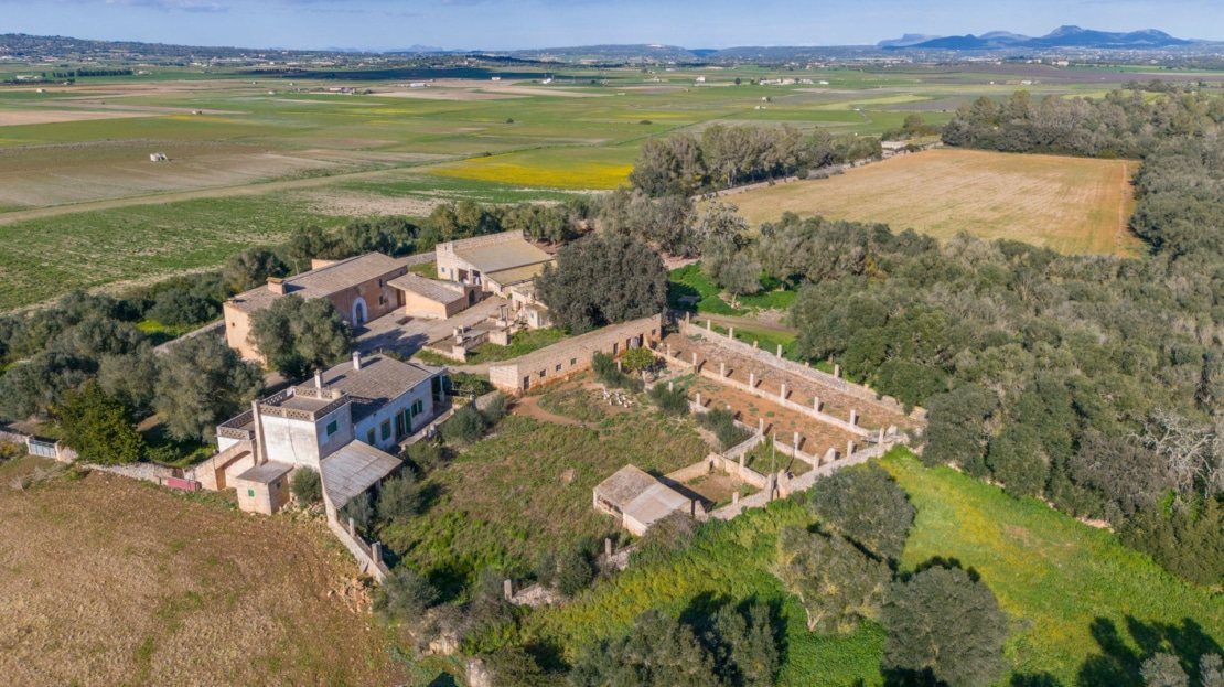 5209- Finca in Vilafranca De Bonany4