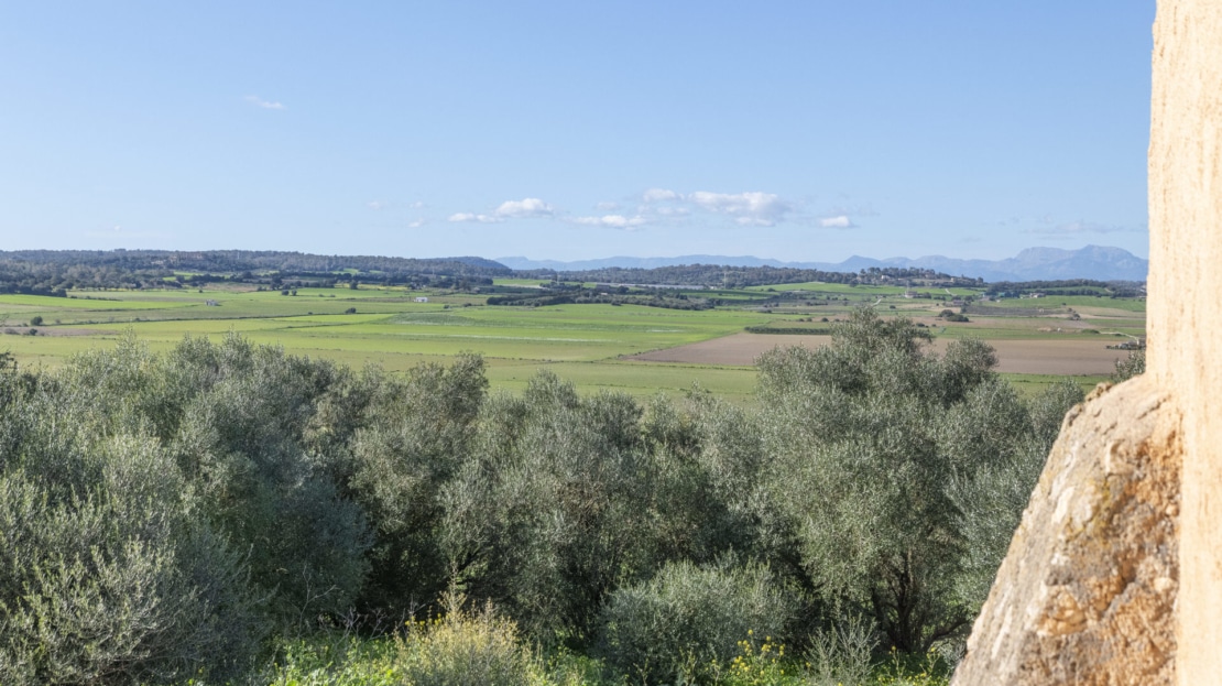 5209- Finca in Vilafranca De Bonany30