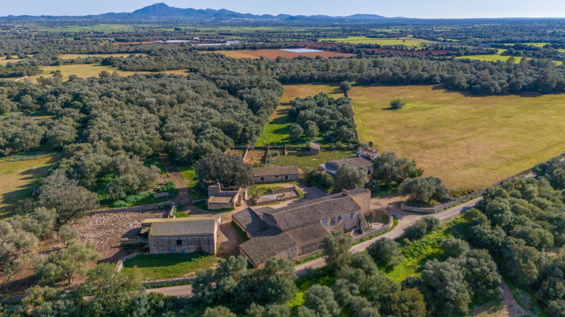 5209- Finca in Vilafranca De Bonany16