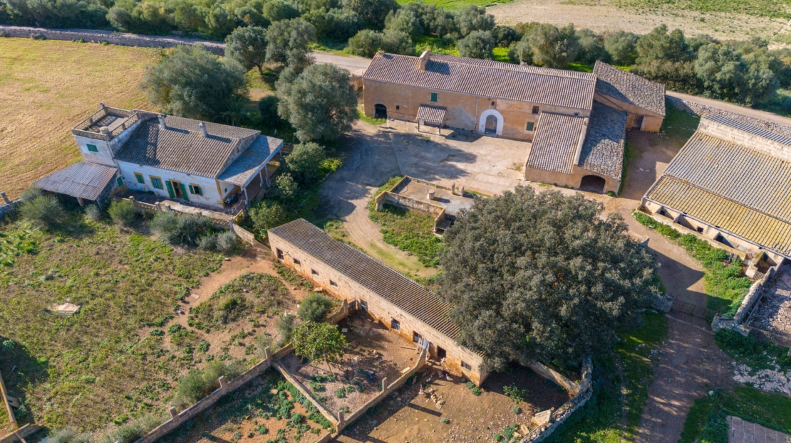 5209- Finca in Vilafranca De Bonany14