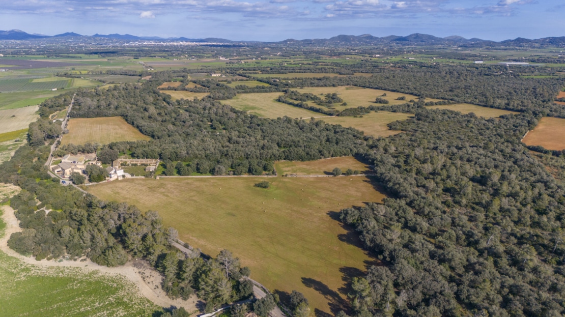 5209- Finca in Vilafranca De Bonany19